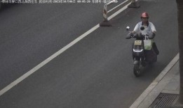 电动车事故最新爆料消息,揭秘事故真相与安全隐患