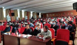 杞县新闻最新爆料,揭秘最新爆料背后的真相与影响